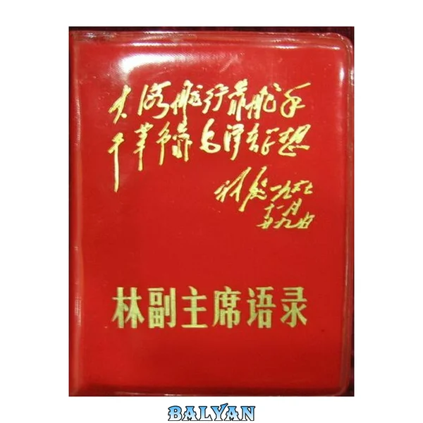 林副主席语录