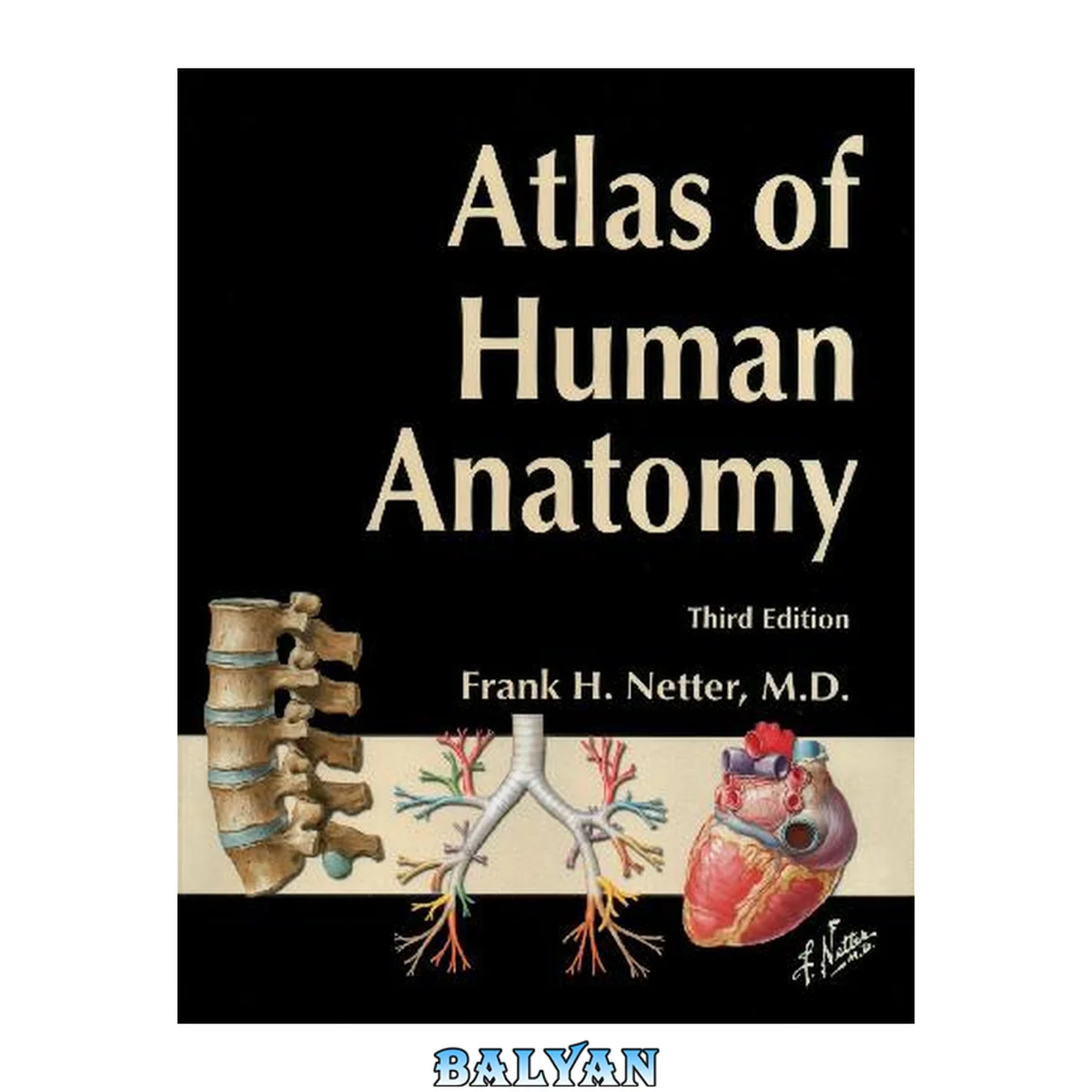 جلد کتاب Atlas of Human Anatomy