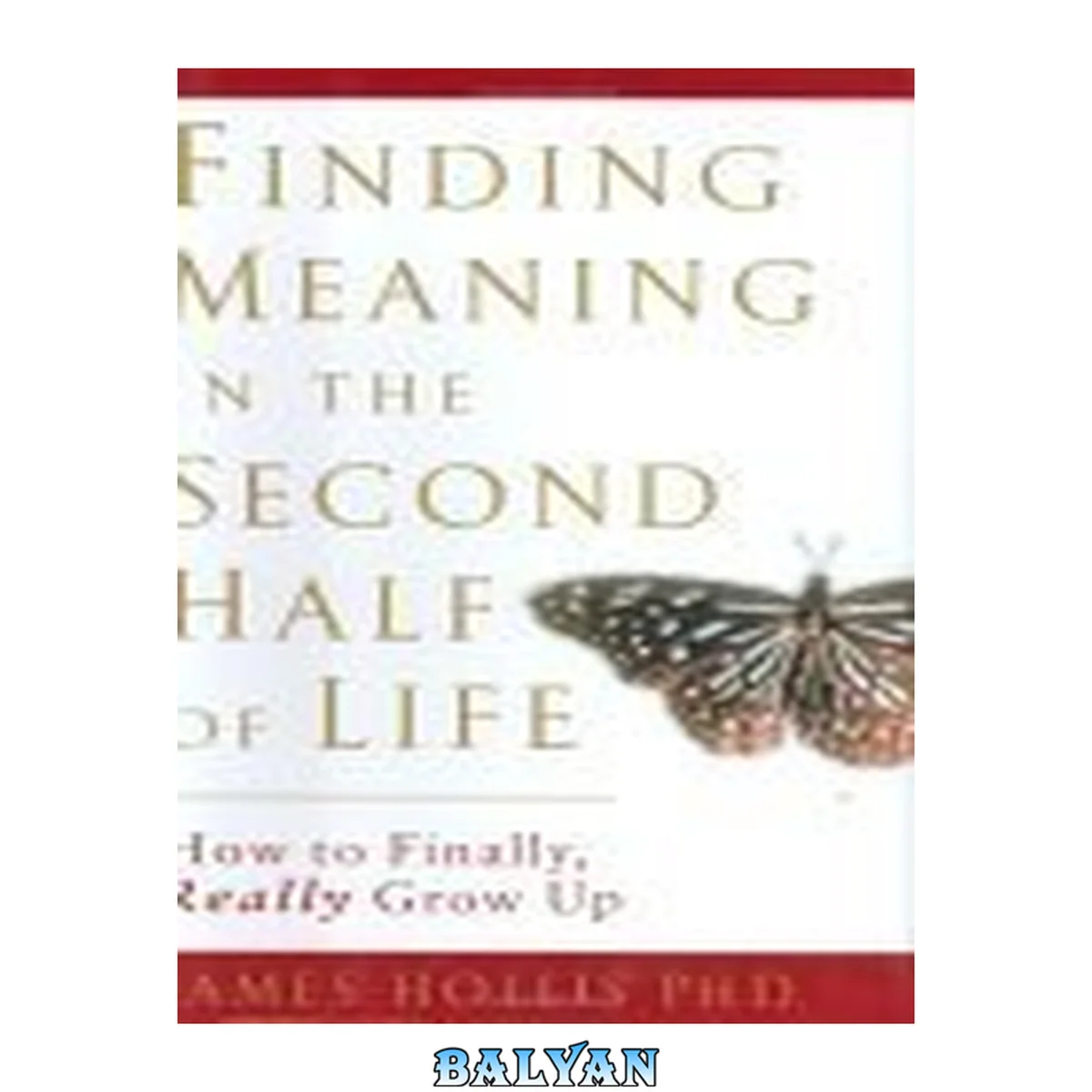 جلد کتاب Finding Meaning in the Second Half of Life : How to Finally, Really Grow Up