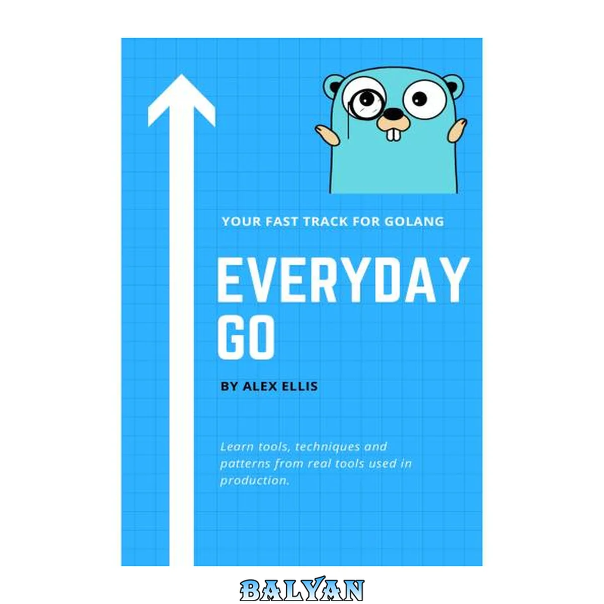 جلد کتاب Everyday Go - The Fast Track for Golang