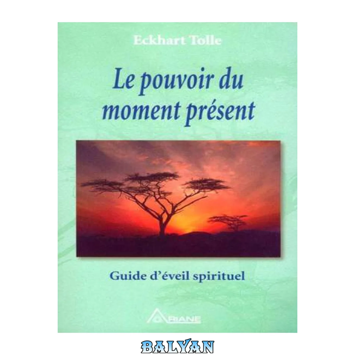 جلد کتاب Le Pouvoir du Moment Présent