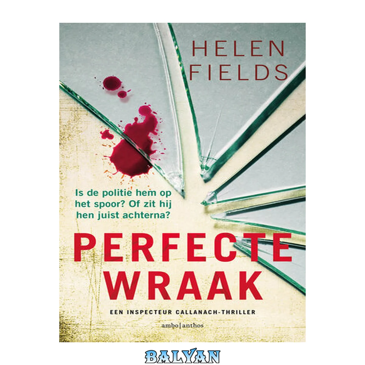 جلد کتاب Perfecte wraak