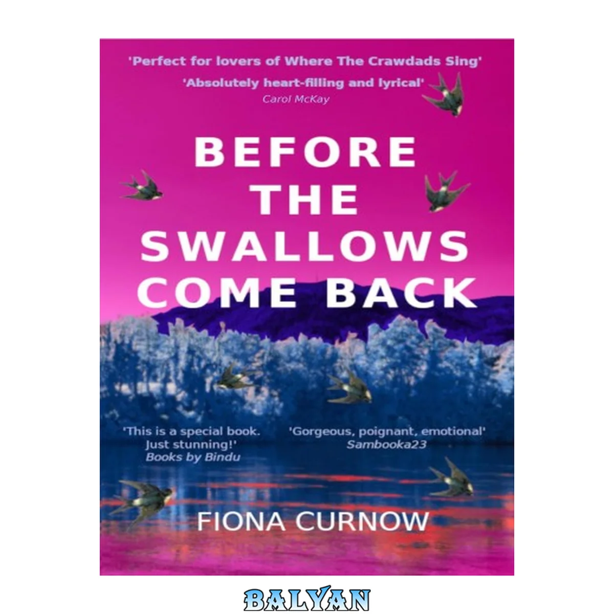 جلد کتاب Before the Swallows Come Back