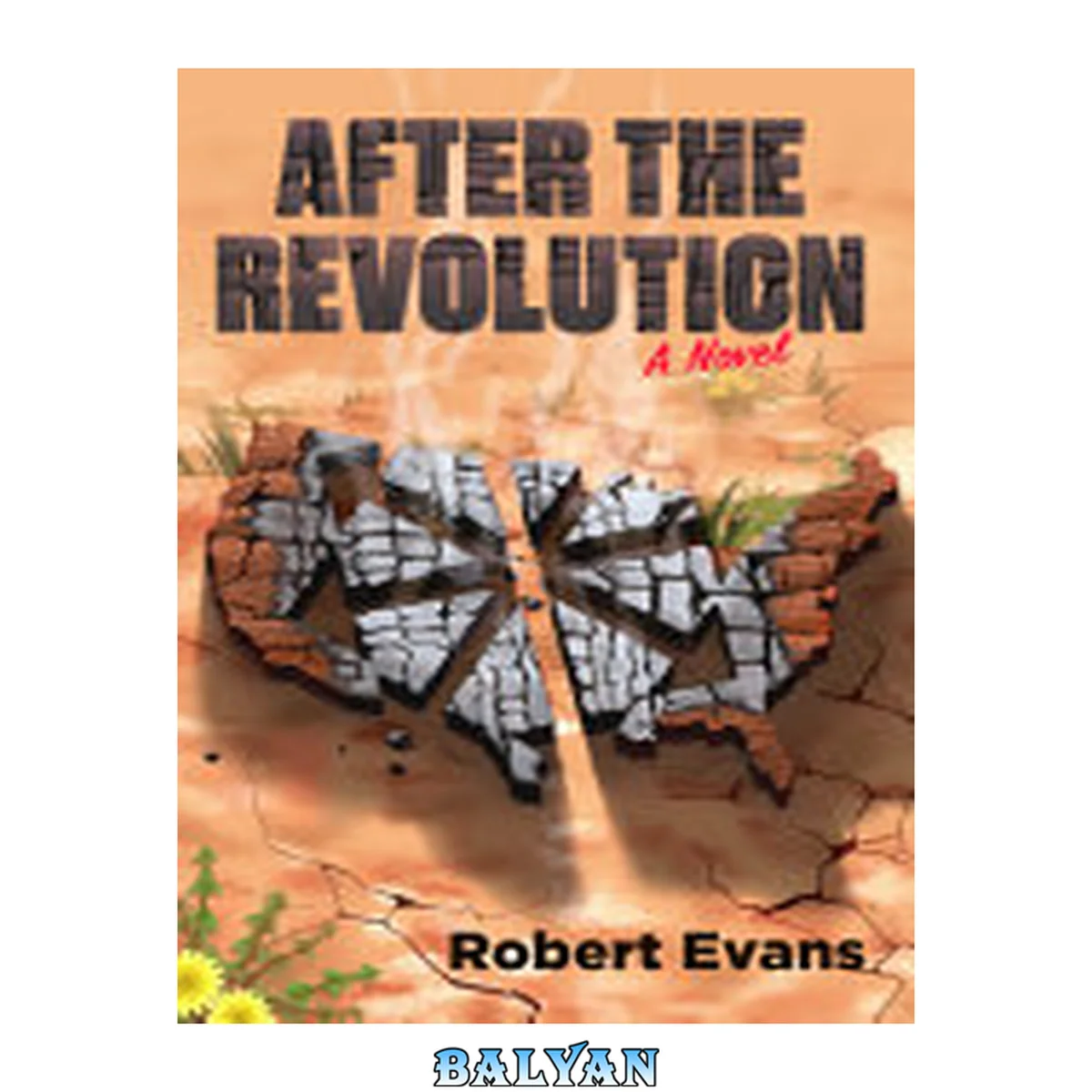 جلد کتاب After the Revolution FV.6