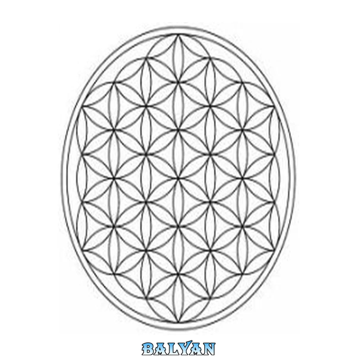 جلد کتاب Activate your Merkaba and reach a Higher Consciousness