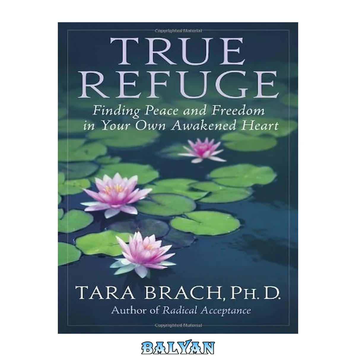 جلد کتاب True Refuge : Finding Peace and Freedom in Your Own Awakened Heart