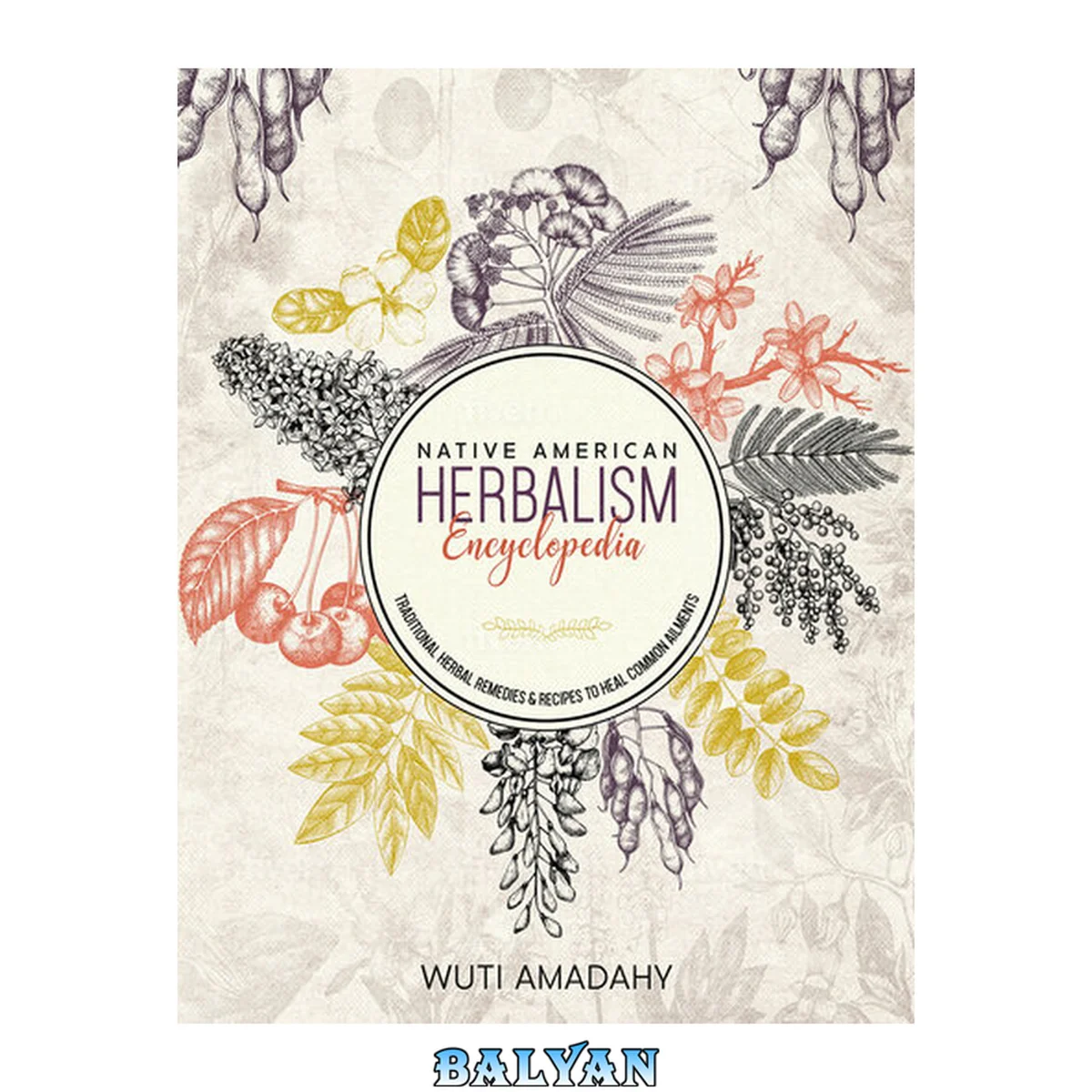جلد کتاب Native American Herbalism Encyclopedia: Traditional Herbal Remedies &amp; Recipes to Heal Common Ailments