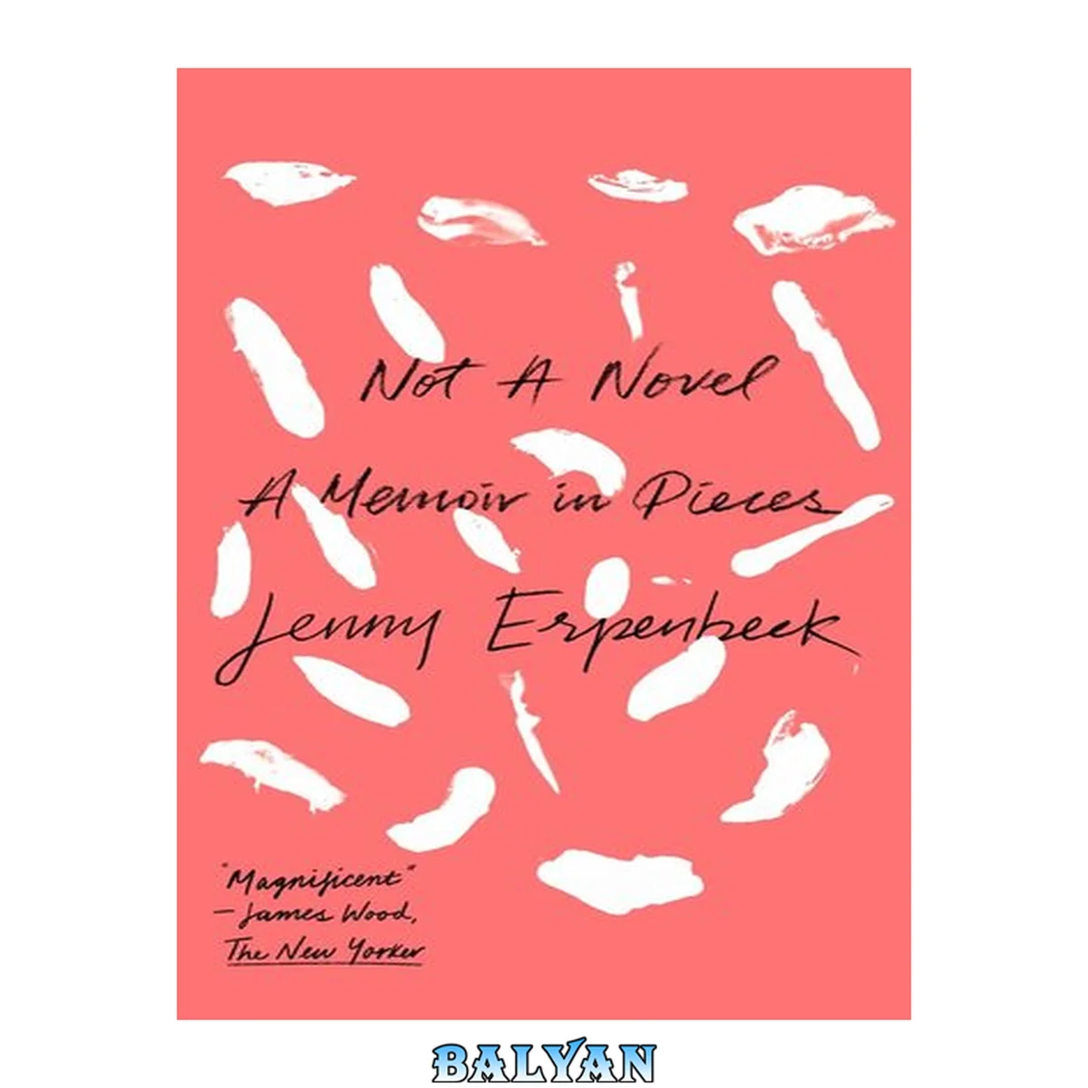 جلد کتاب Not a Novel: A Memoir in Pieces by Jenny Erpenbeck