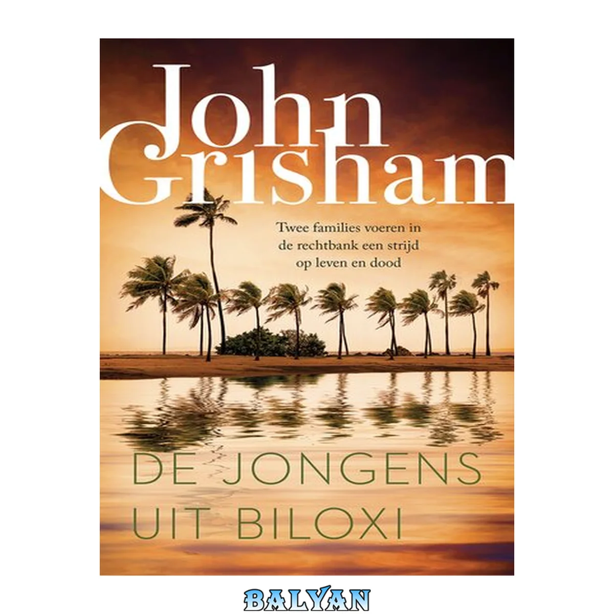 جلد کتاب De jongens uit Biloxi