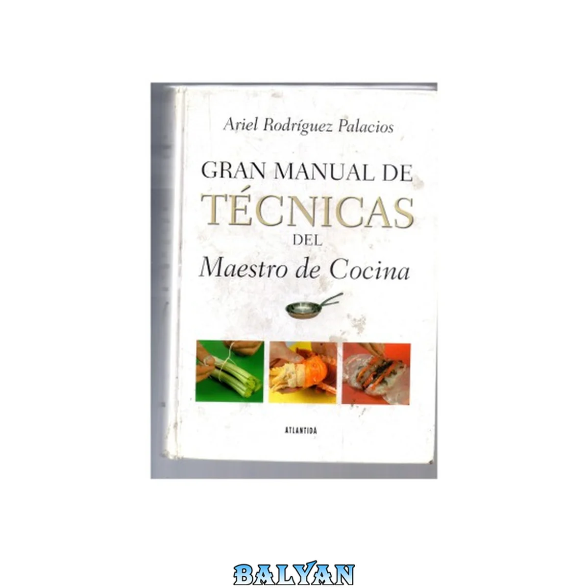 جلد کتاب Gran Manual De Tecnicas Del Maestro De Cocina (spanish Edition)