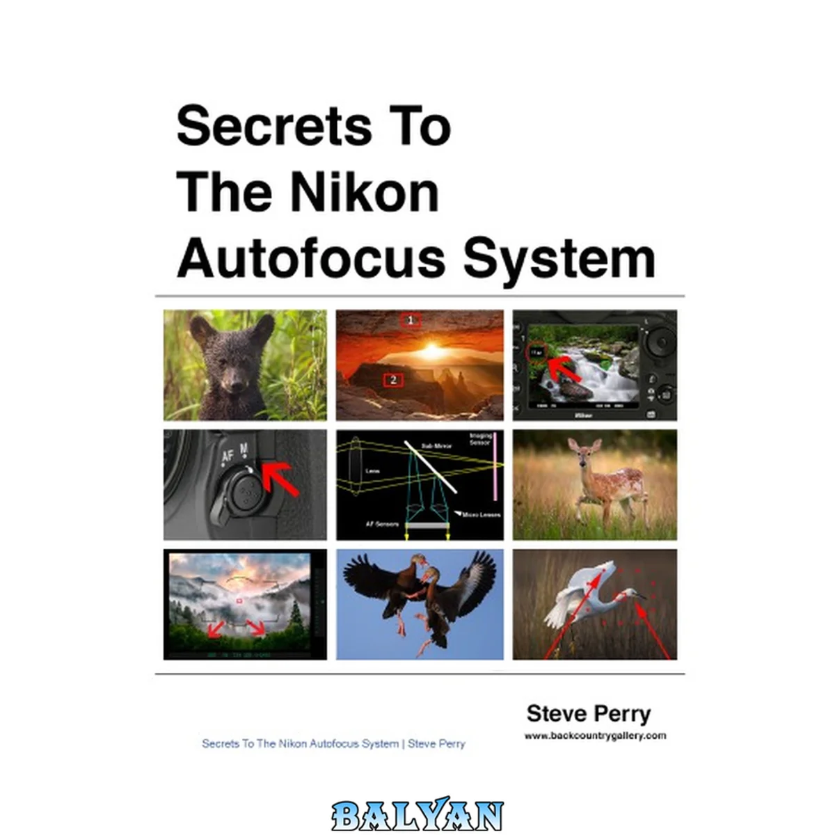 جلد کتاب Secrets to the Nikon AF System
