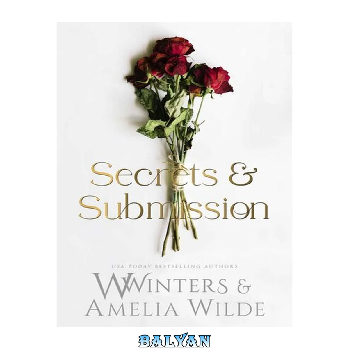 جلد کتاب Secrets &amp; Submission
