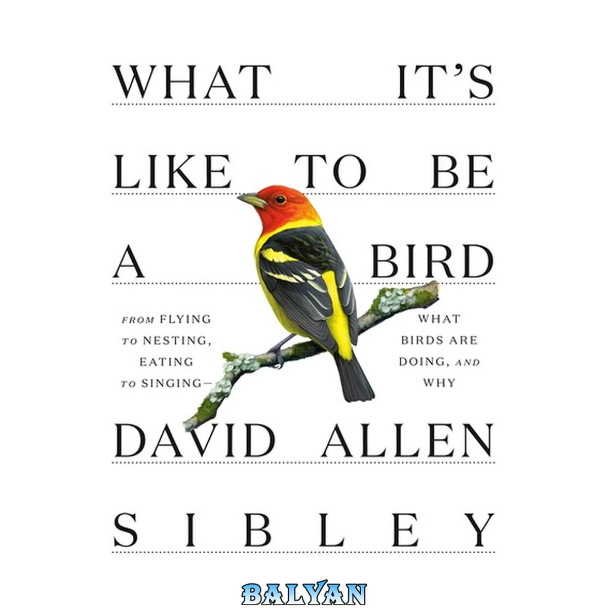 جلد کتاب What It's Like to Be a Bird: From Flying to Nesting, Eating to Singing--What Birds Are Doing, and Why (Sibley Guides)