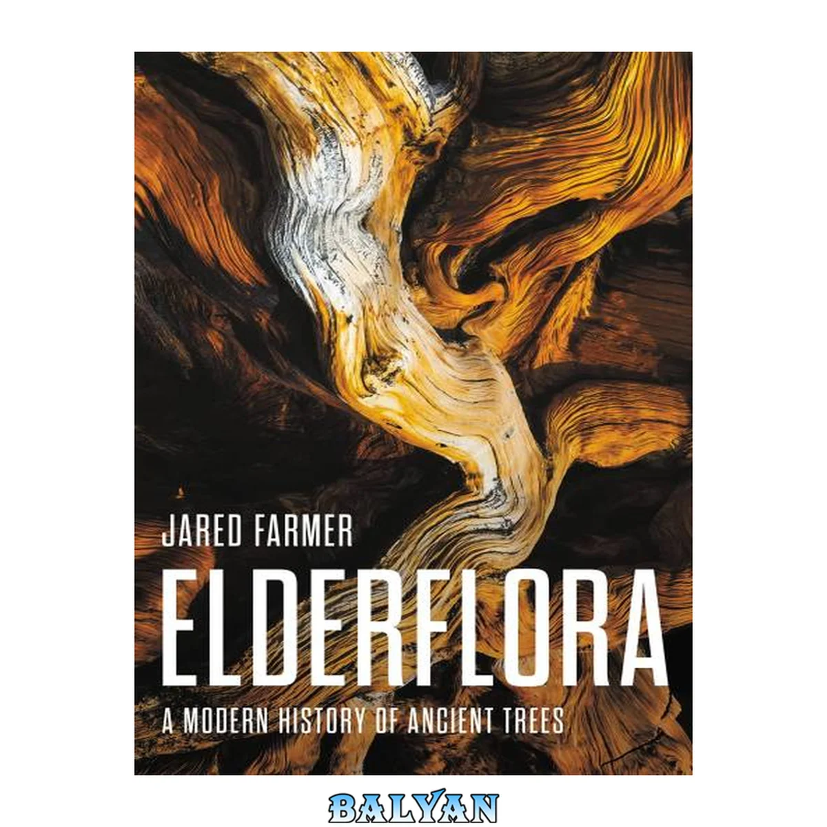 جلد کتاب Elderflora : A Modern History of Ancient Trees