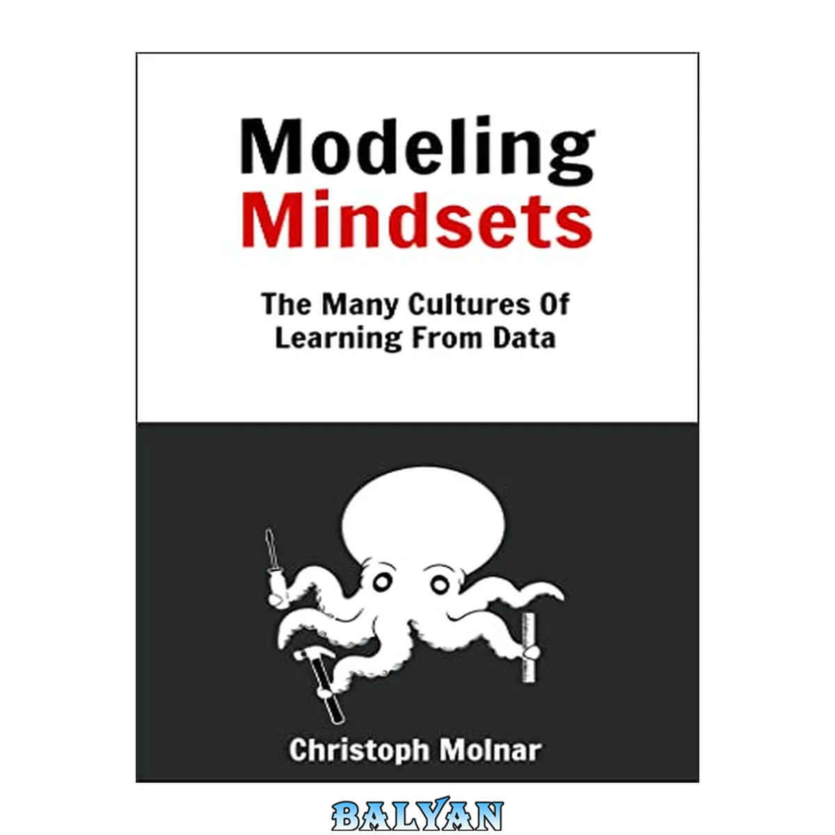 جلد کتاب Modeling Mindsets: The Many Cultures Of Learning From Data