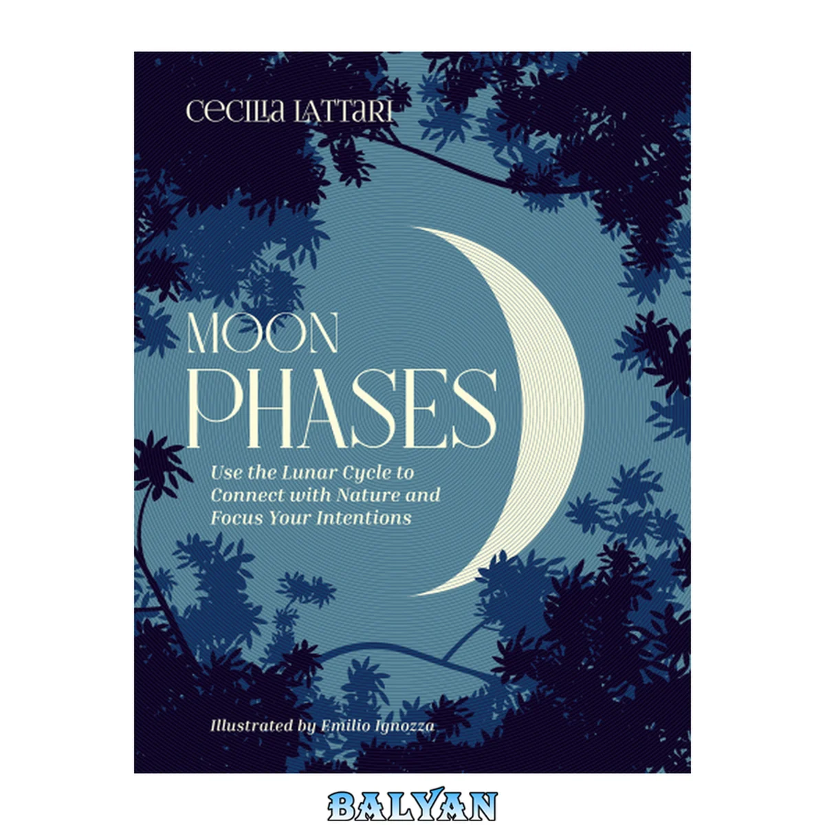 جلد کتاب Moon Phases : Use the Lunar Cycle to Connect with Nature and Focus Your Intentions