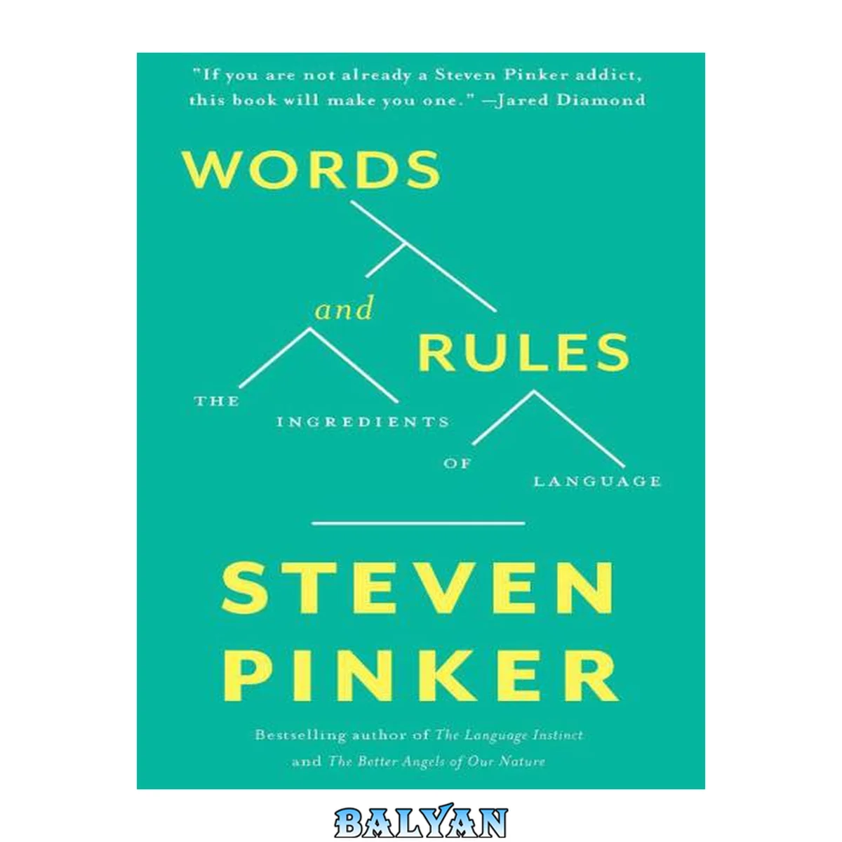 جلد کتاب Words and Rules: The Ingredients Of Language (Science Masters Series)