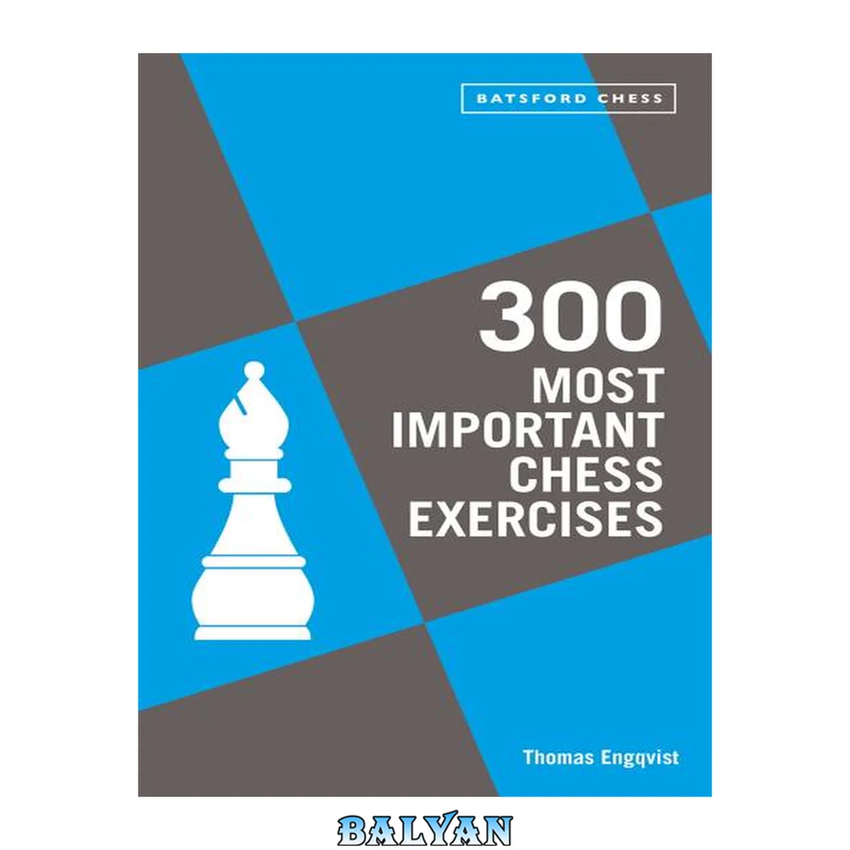 جلد کتاب 300 Most Important Chess Exercises : Study Five a Week to Be a Better Chessplayer