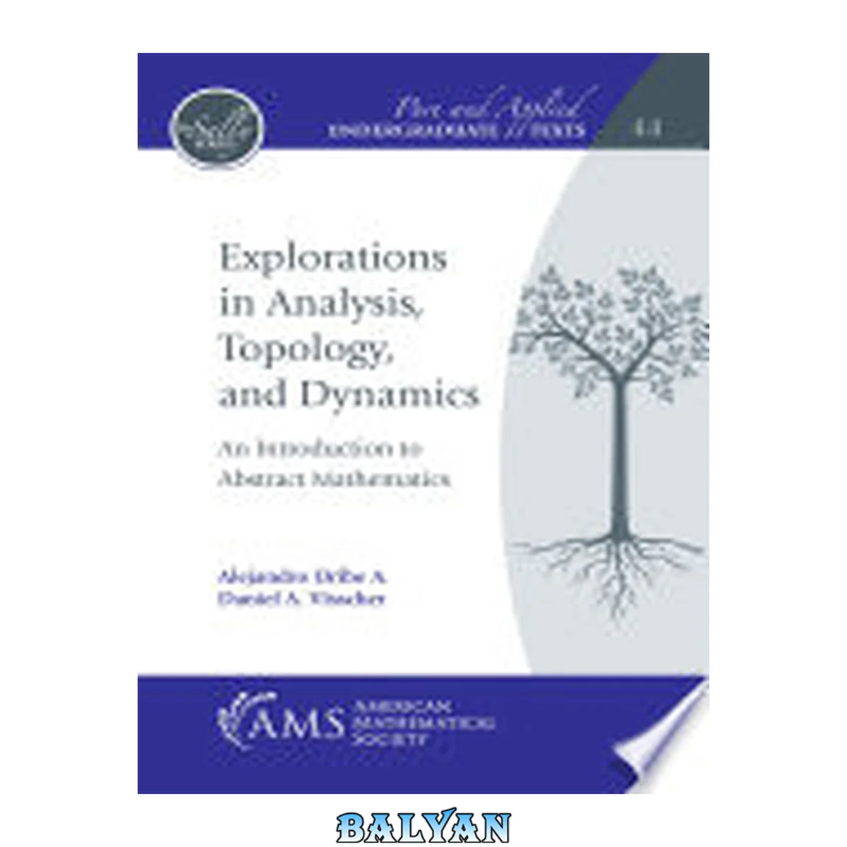 جلد کتاب Explorations in Analysis, Topology, and Dynamics: An Introduction to Abstract Mathematics (Pure and Applied Undergraduate Texts)