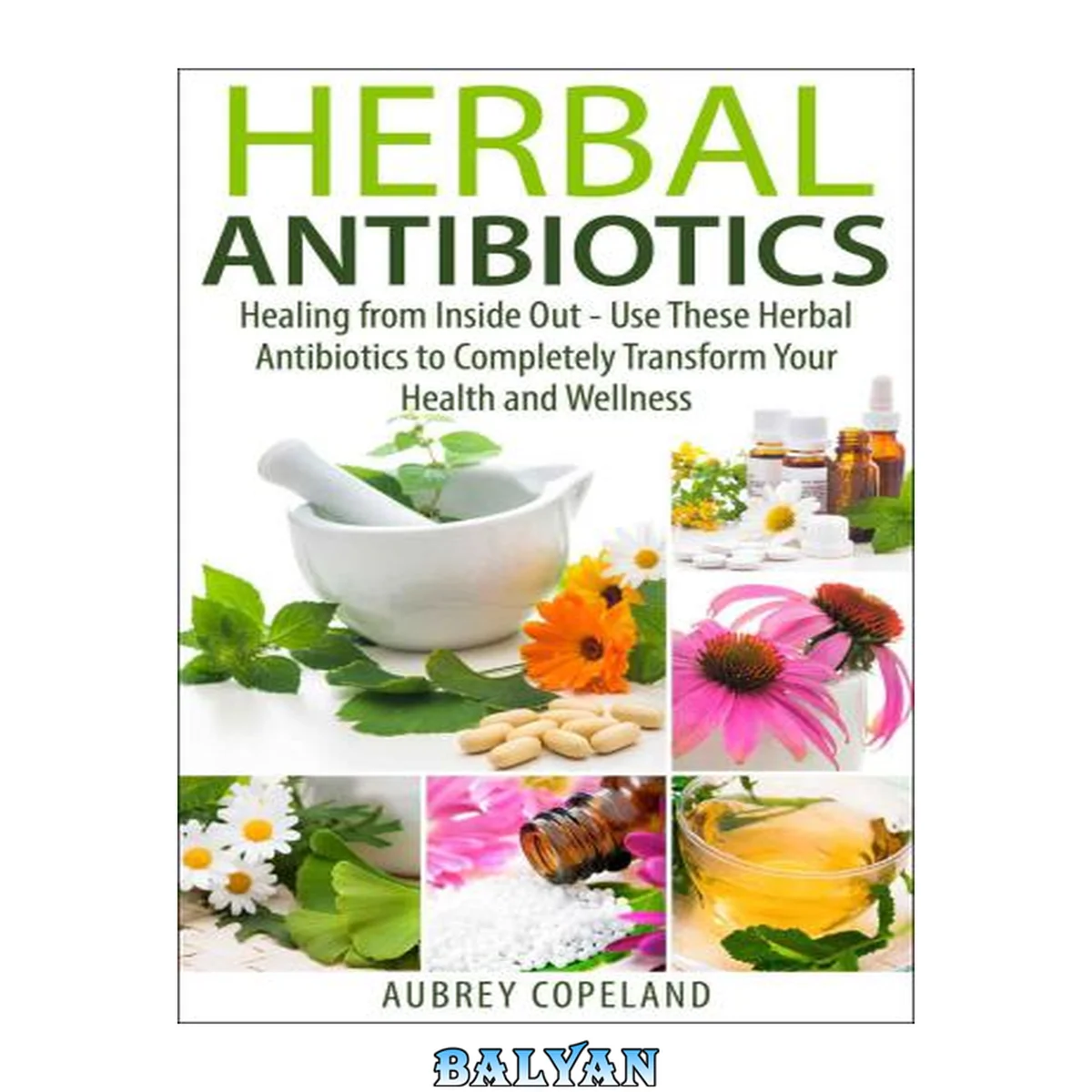 جلد کتاب Herbal Antibiotics: Healing from Inside Out Use These Herbal Antibiotics to Completely Transform Your Health and Wellness (Natures Herbal Antibiotics: Learn Natural Medicines and Holistic Healing)