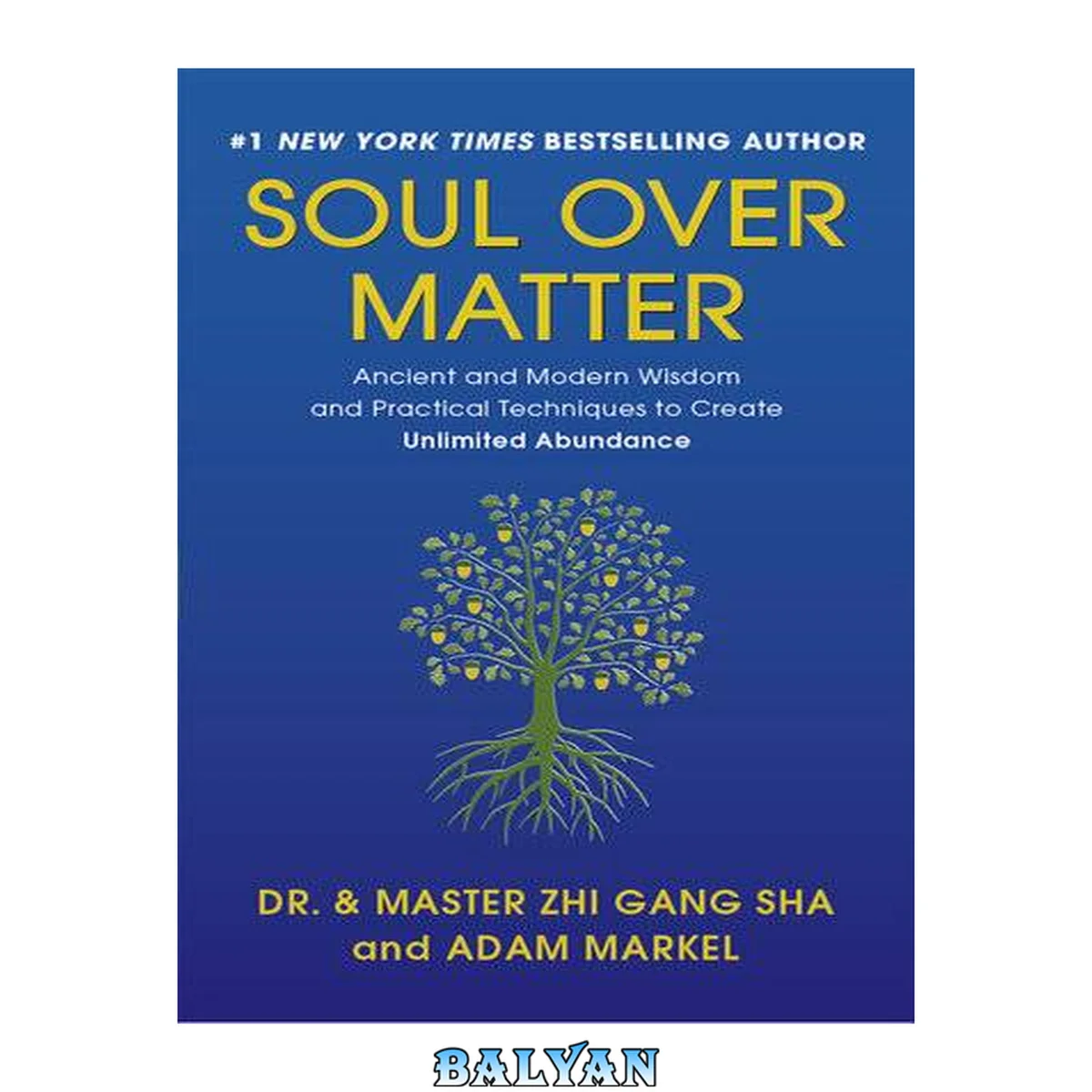 جلد کتاب Soul Over Matter : Ancient and Modern Wisdom and Practical Techniques to Create Unlimited Abundance