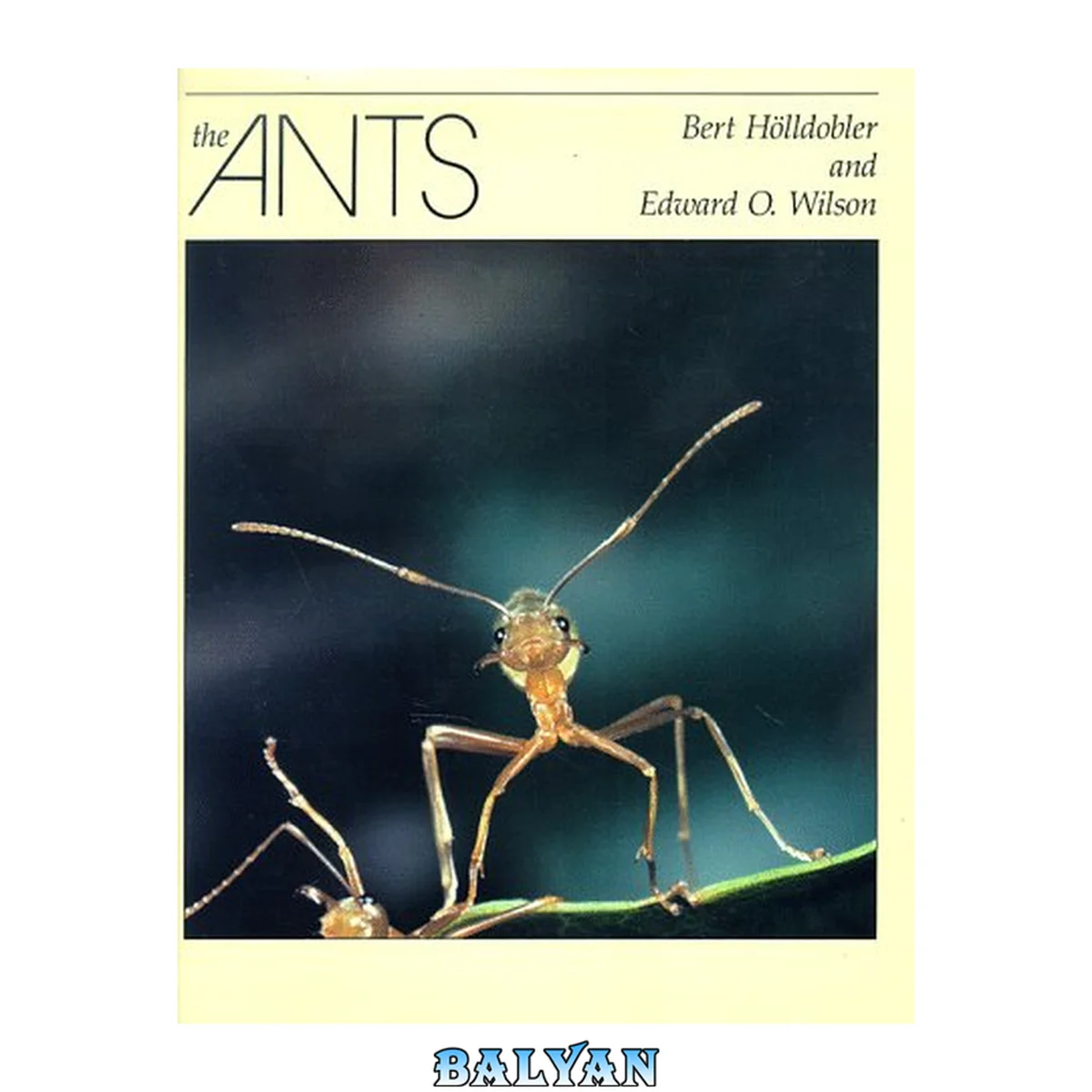 جلد کتاب The  ants
