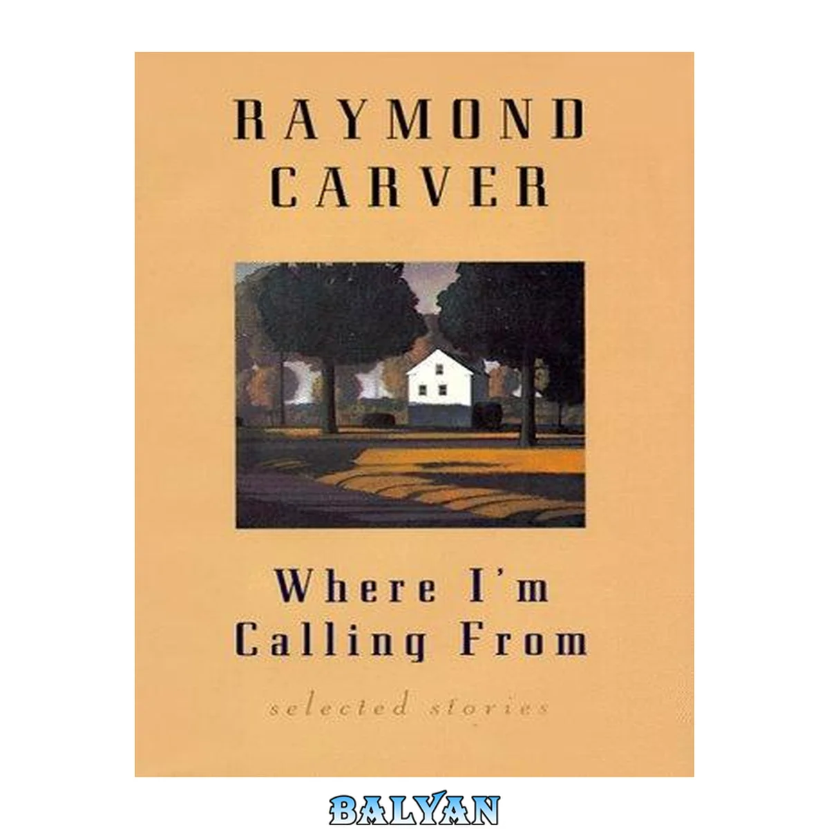 جلد کتاب Where I'm calling from : selected stories