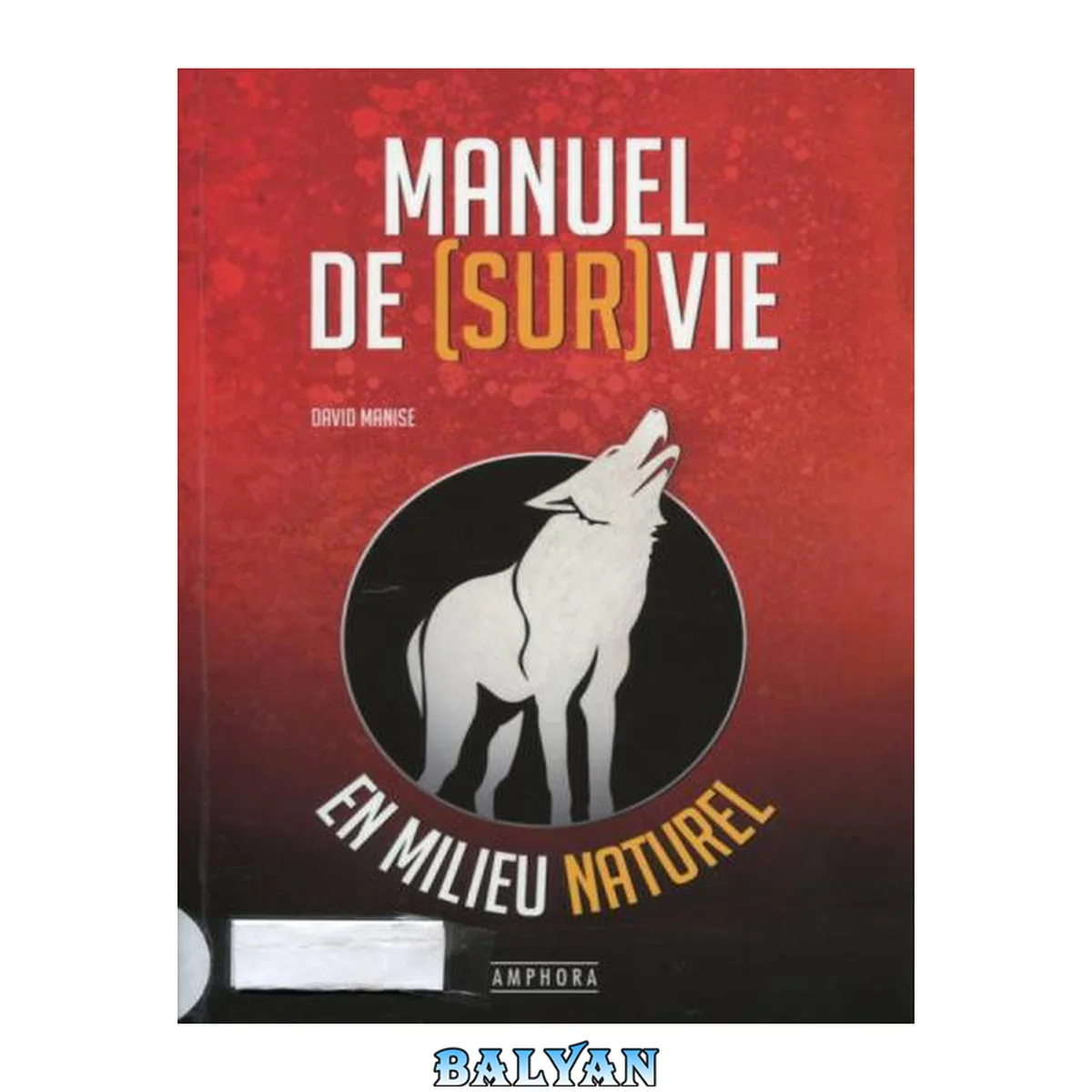 جلد کتاب Manuel de (sur)vie en milieu naturel (Divers) (French Edition)