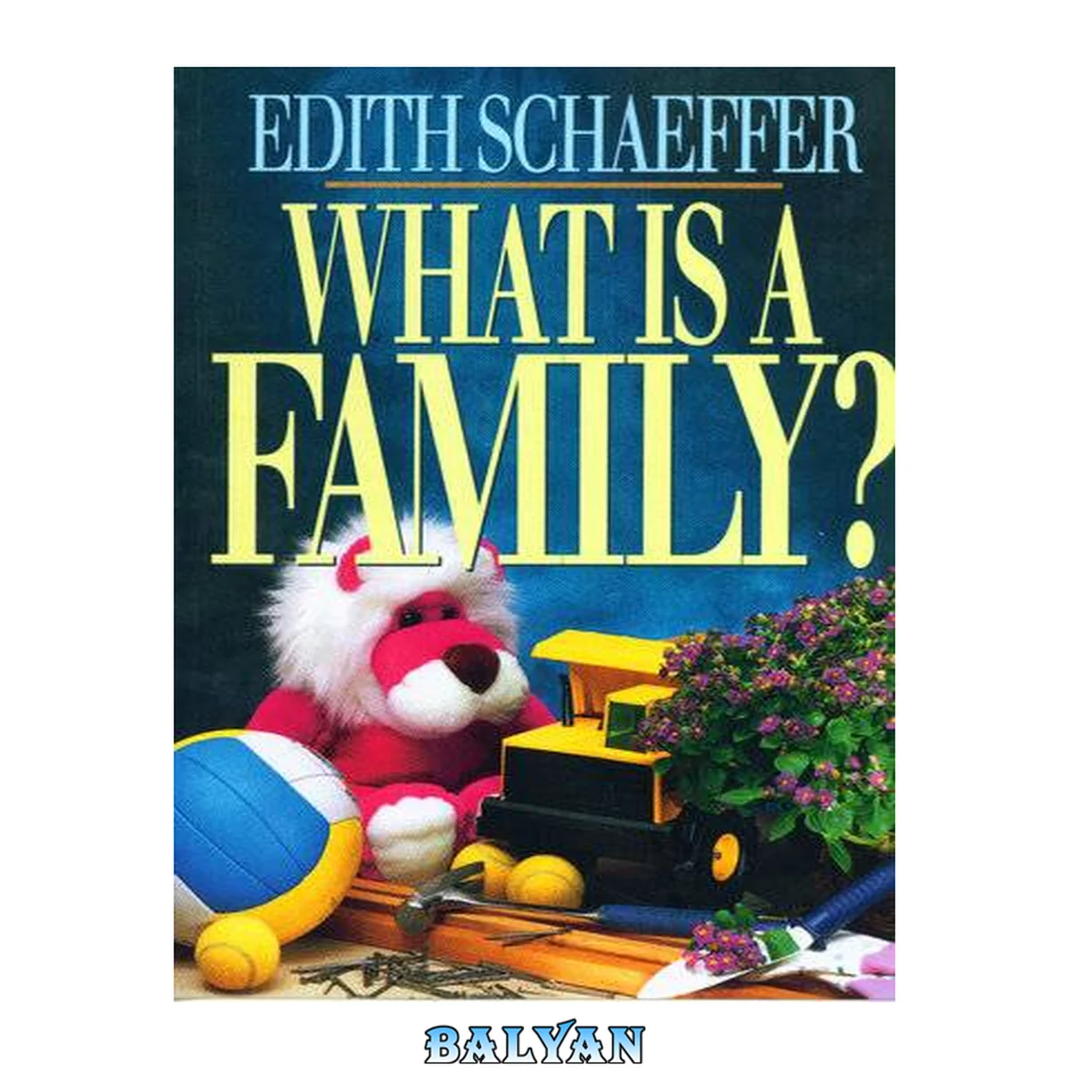 جلد کتاب What Is a Family?