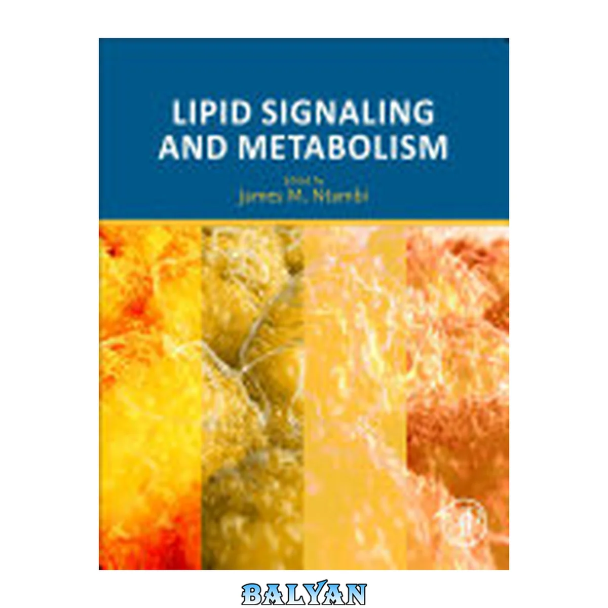 جلد کتاب Lipid Signaling and Metabolism