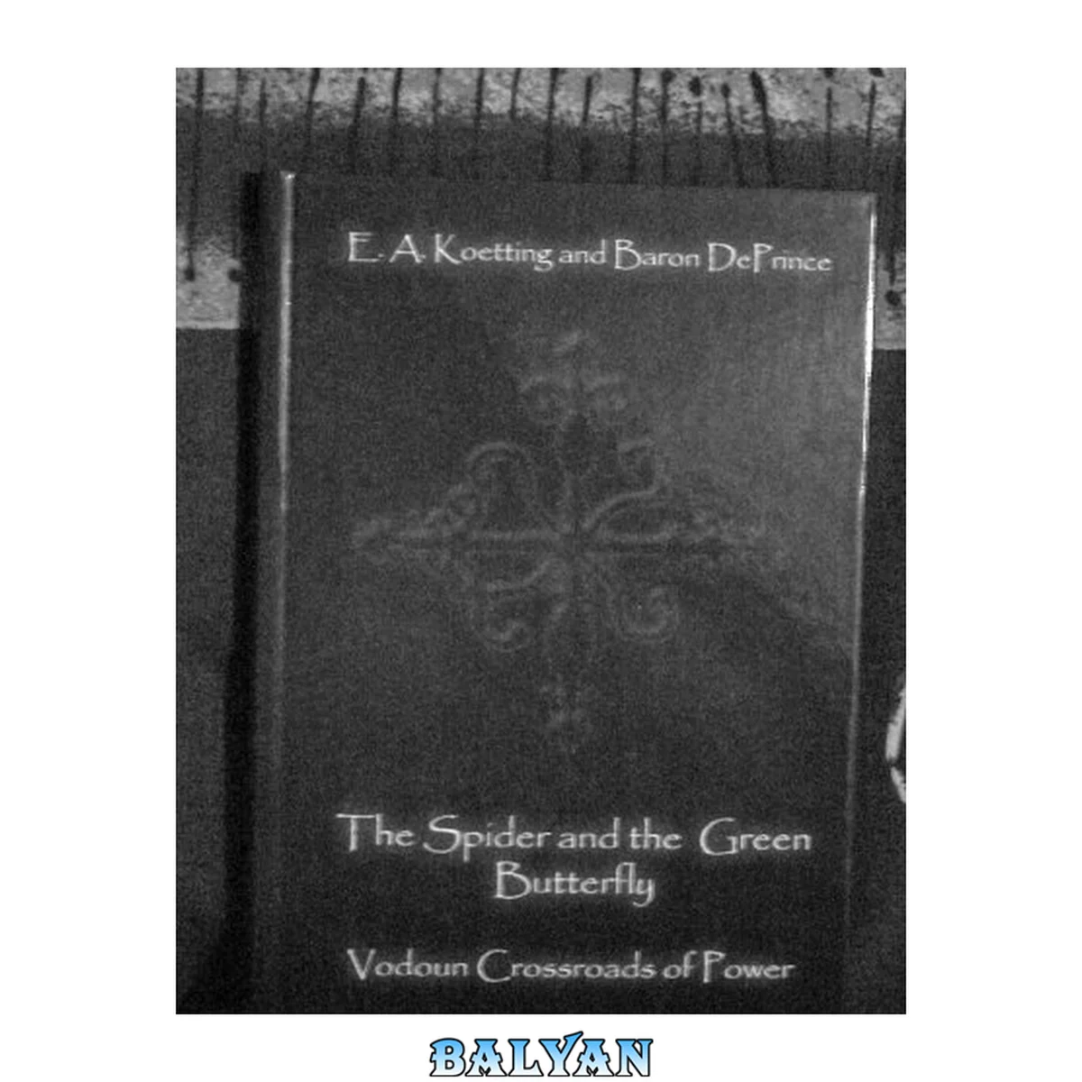 جلد کتاب The Spider and the Green Butterfly: Vodoun Crossroads of Power