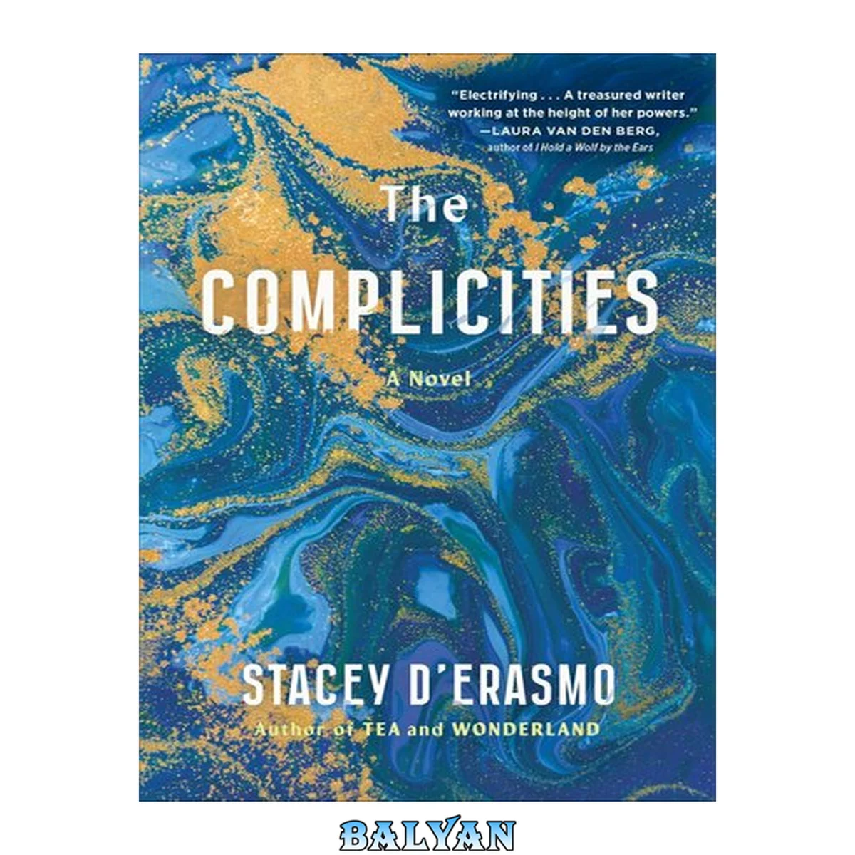 جلد کتاب The complicities : a novel