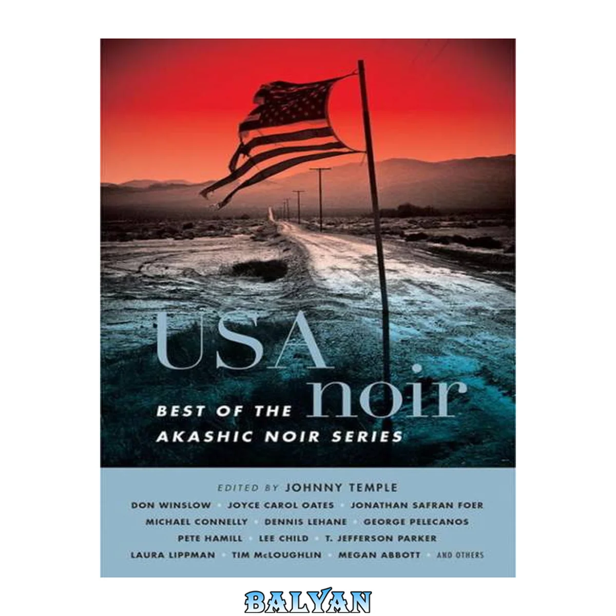 جلد کتاب USA Noir : Best of the Akashic Noir Series