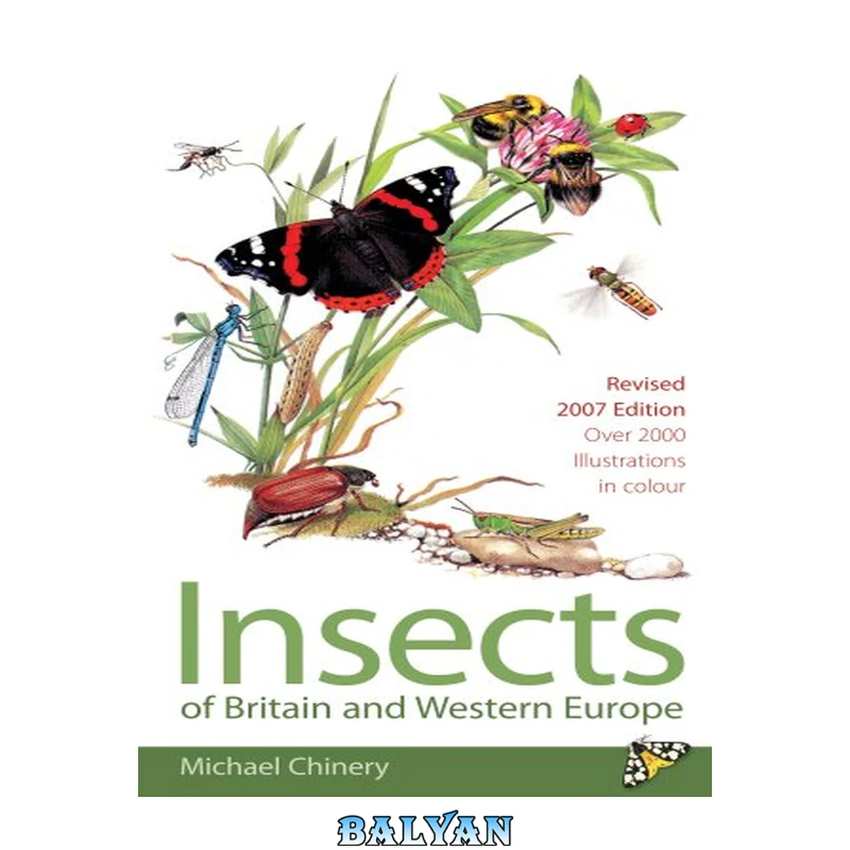 جلد کتاب Domino guide to the insects of Britain and Western Europe
