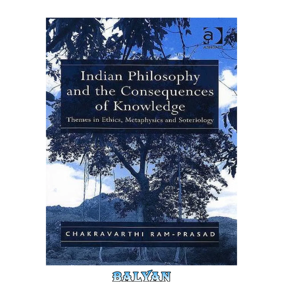 جلد کتاب Indian philosophy and the consequences of knowledge : themes in ethics, metaphysics, and soteriology