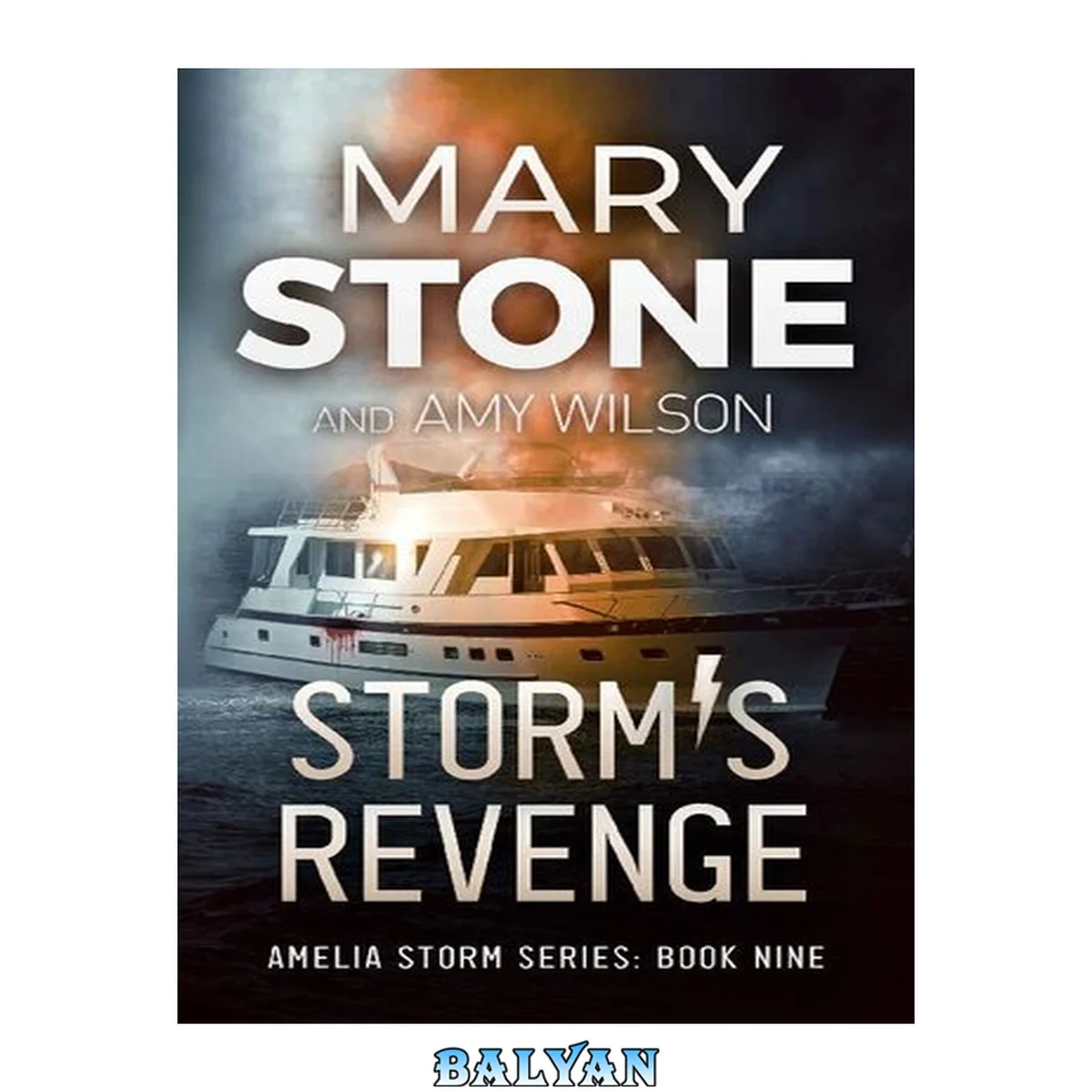 جلد کتاب Storm's Revenge