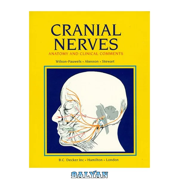 Cranial Nerves : Anatomy and Clinical Comments