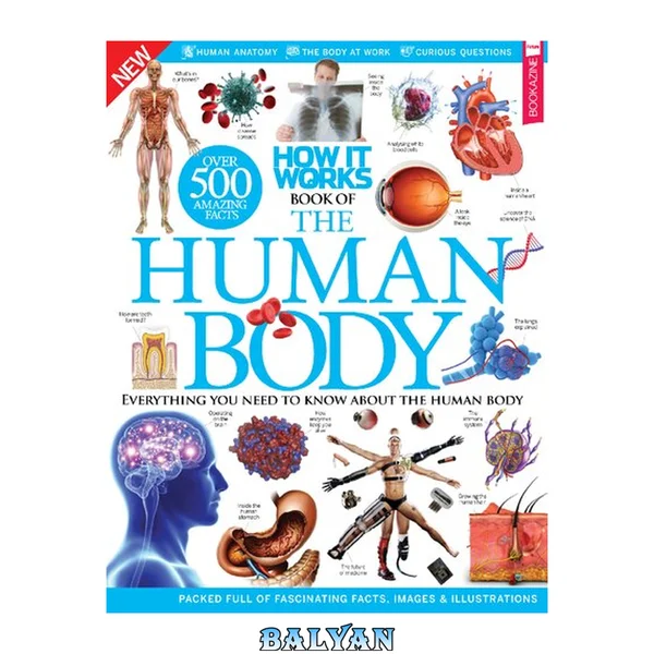 How It Works - Book of The Human Body