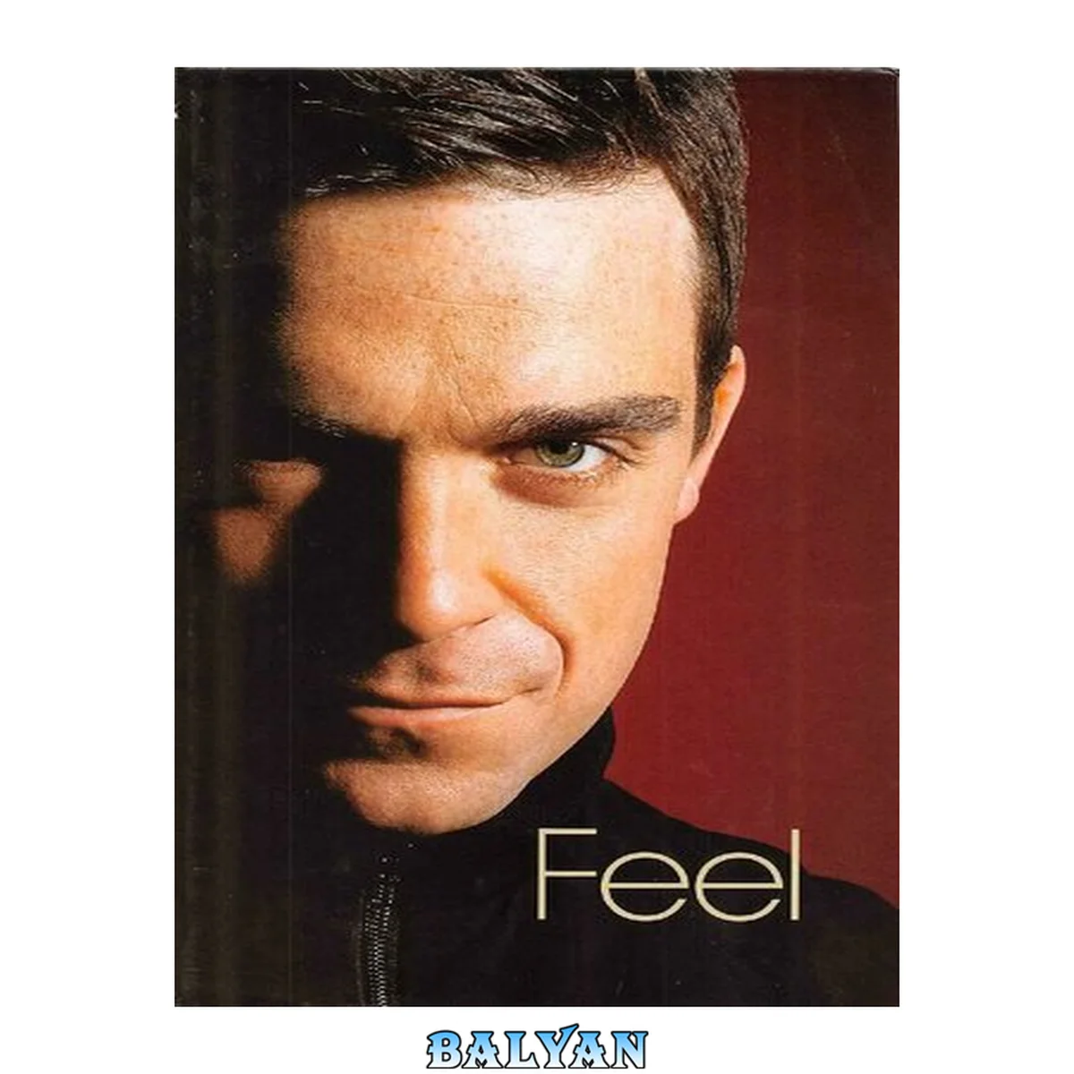 جلد کتاب Feel: Robbie Wiliams