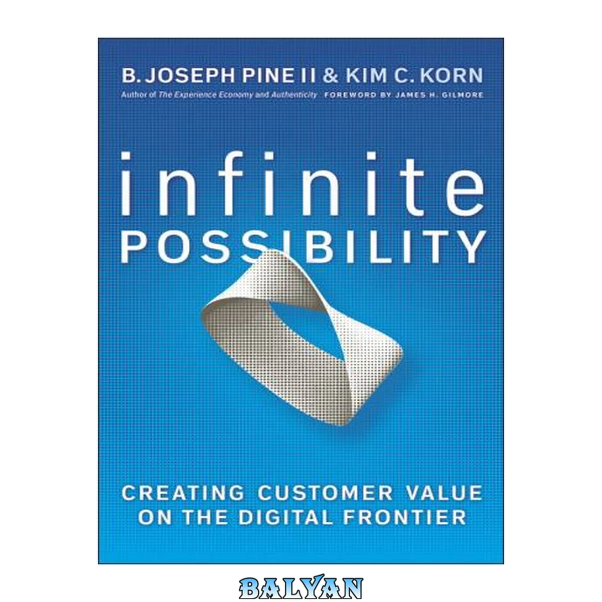 جلد کتاب Infinite Possibility : Creating Customer Value on the Digital Frontier