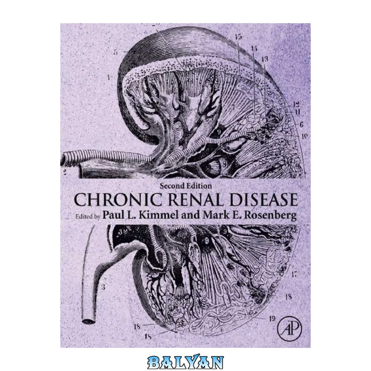 جلد کتاب Chronic Renal Disease