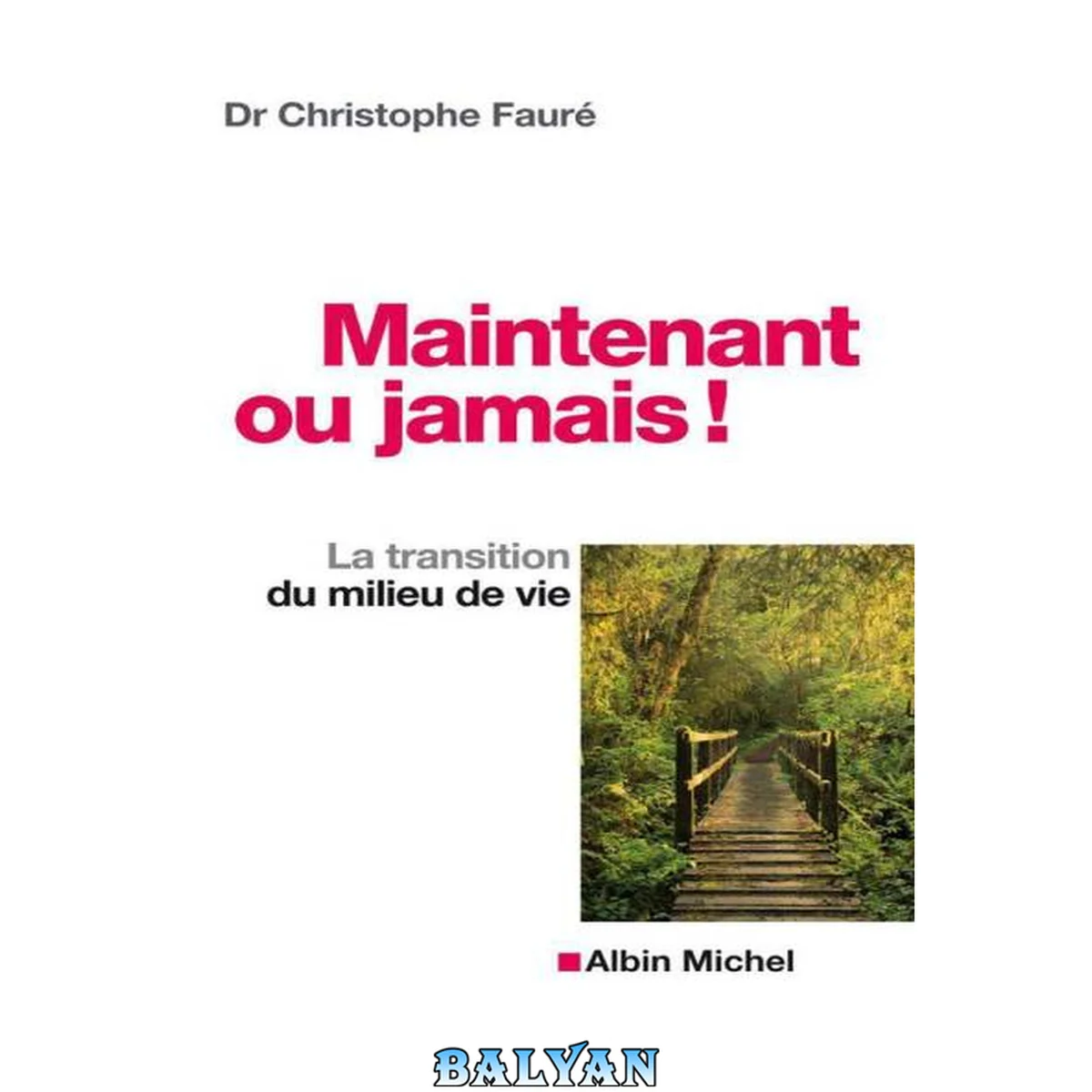 جلد کتاب Maintenant ou jamais! : La transition du milieu de la vie