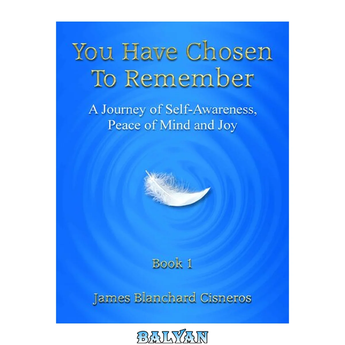 جلد کتاب You Have Chosen to Remember: A Journey from Perception to Knowledge, Peace of Mind and Joy