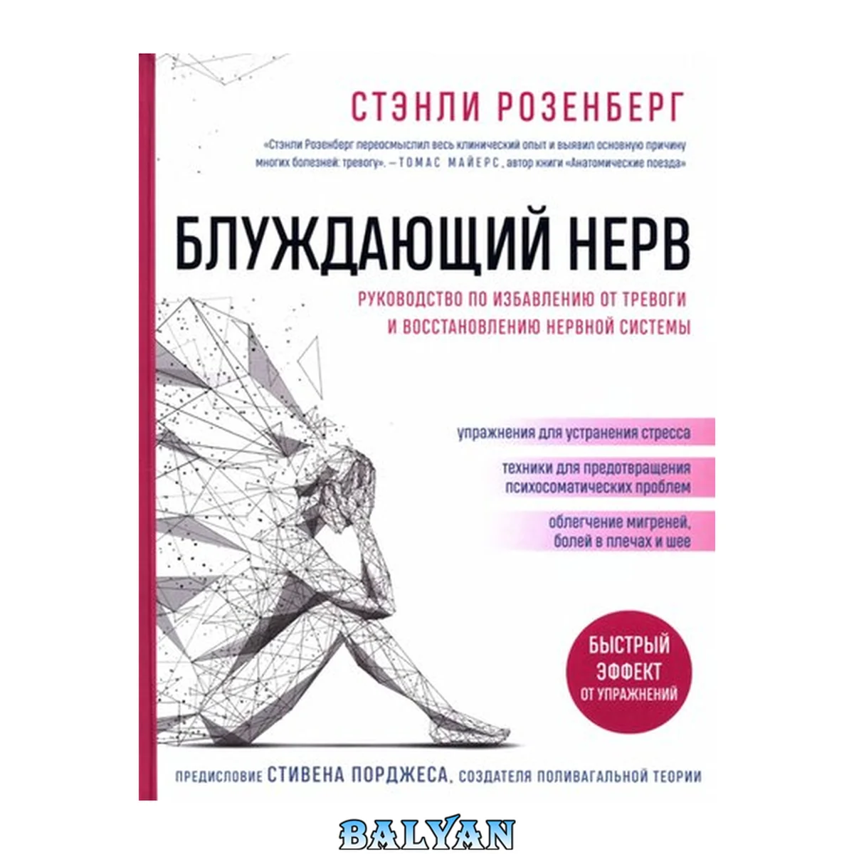 جلد کتاب بلندای عصب: راهنمایی برای رهایی از اضطراب و بازسازی سیستم عصبی: ۱۲+