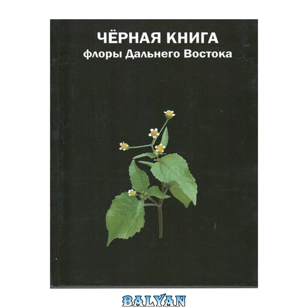 جلد کتاب Черная книга флоры Дальнего Востока: инвазионные виды растений в экосистемах Дальневосточного федерального округа =: Black book of flora of the Far East: invasive plant species in ecosystems of the Far Eastern Federal District : монография