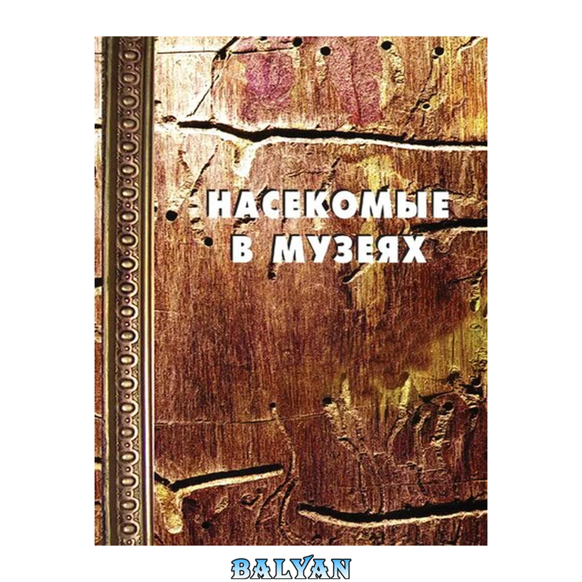 جلد کتاب Насекомые в музеях: (Биология. Профилактика заражения. Меры борьбы)