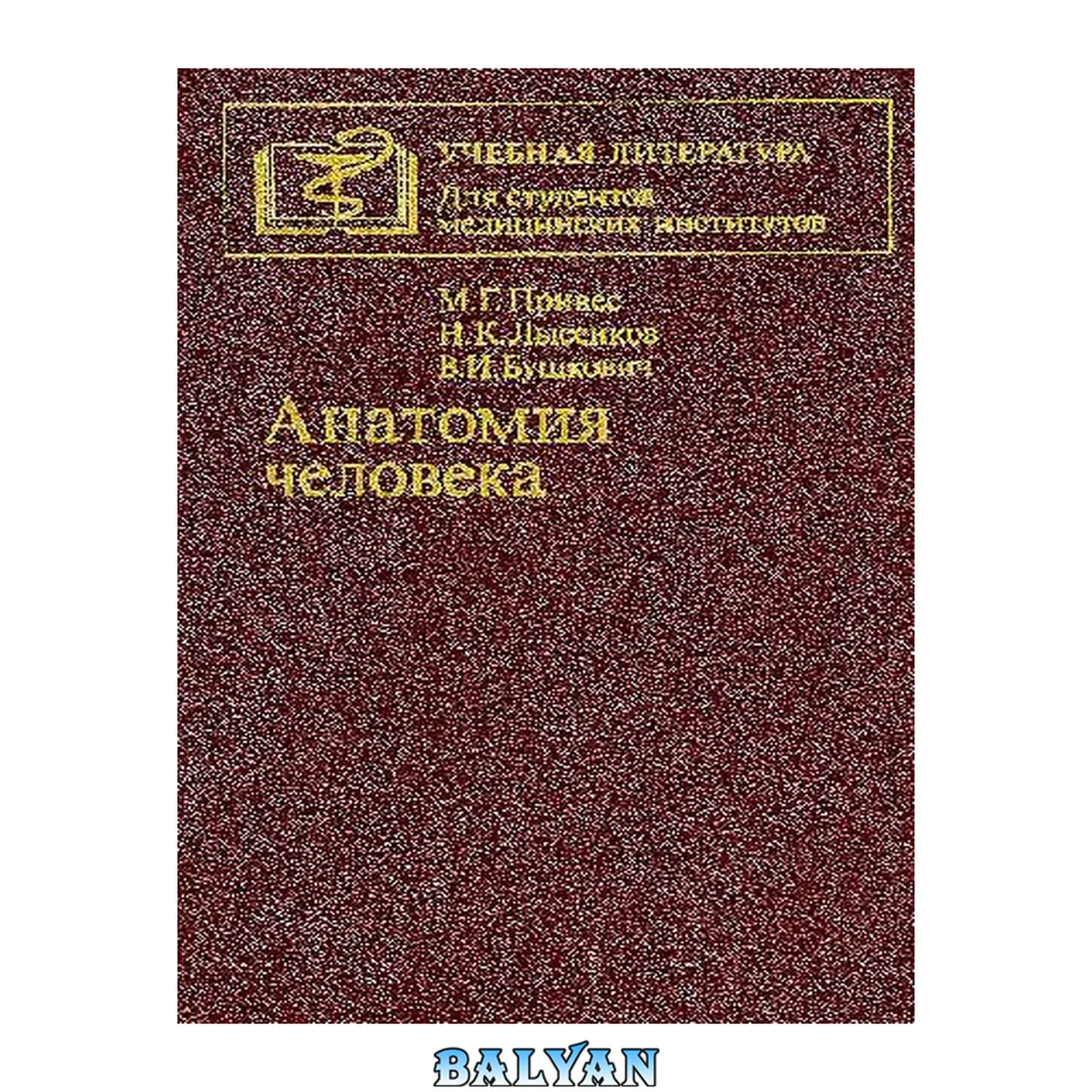 جلد کتاب Анатомия человека: [учебник]: для российских и иностранных студентов медицинских вузов и факультетов
