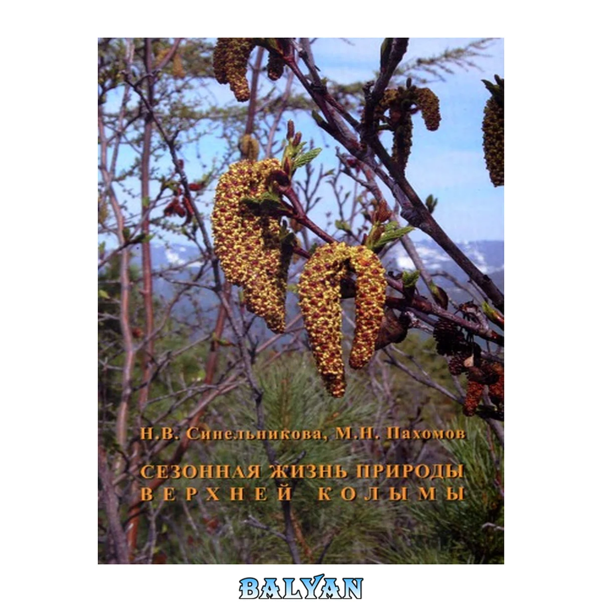 جلد کتاب Сезонная жизнь природы Верхней Колымы = Seasonal life of nature in the Upper Kolyma region