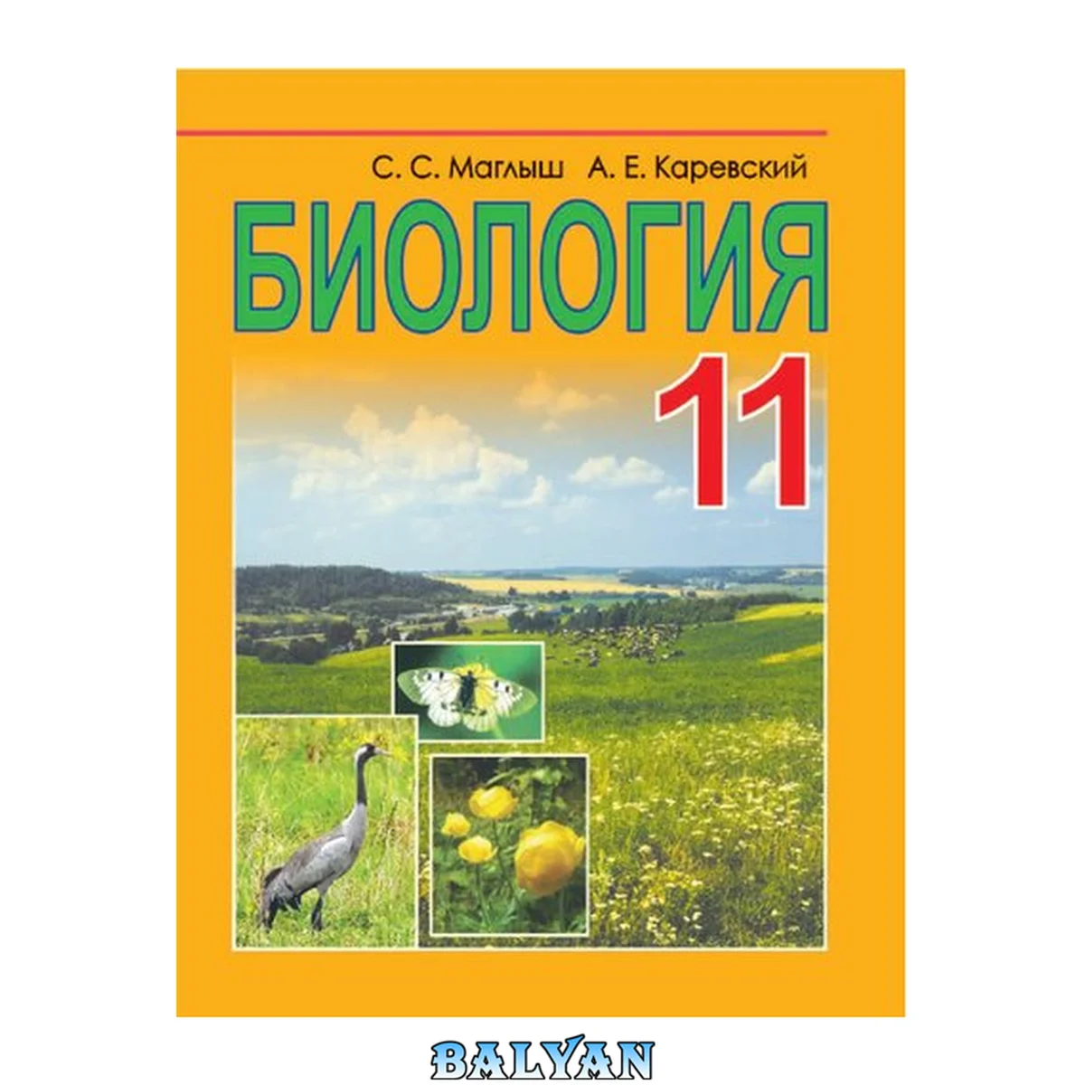 جلد کتاب Биология : учебное пособие для 11-го класса учреждений общего среднего образования с русским языком обучения