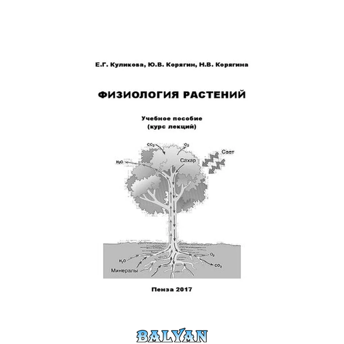 جلد کتاب Физиология растений: Учебное пособие (курс лекций) для бакалавров технологического направления подготовки